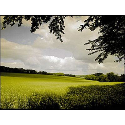 Cokin 125 Verlauf tabak 2 light  P 