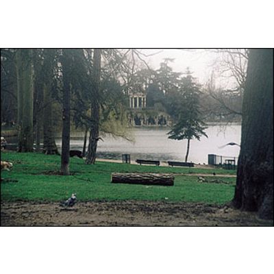 Cokin 150 Verlauf Nebel 1  A 