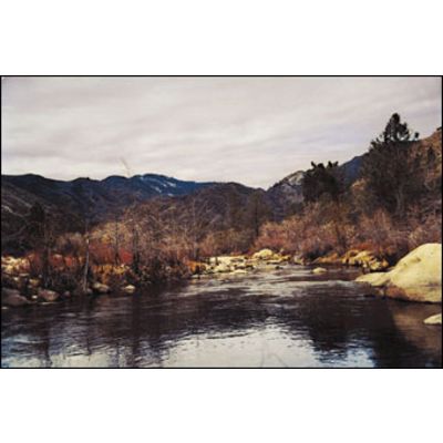 Cokin 153 grau 4x  P 