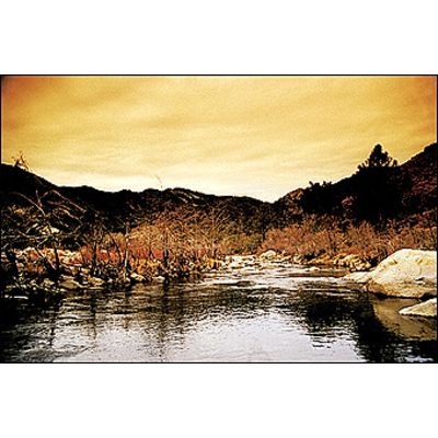 Cokin 662 Verlauf Fluo orange 1  P 