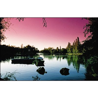 Cokin 670 Verlauf Fluo rosa 1  A 