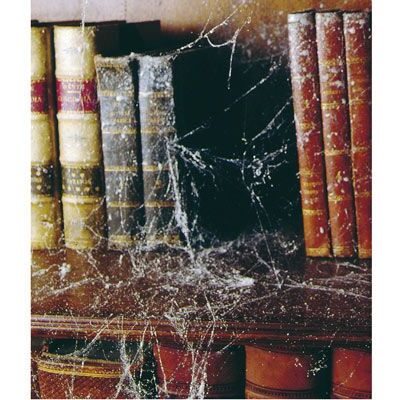 Condor Cobweb Spinnennetz-Effekt Spray, 300 ml 