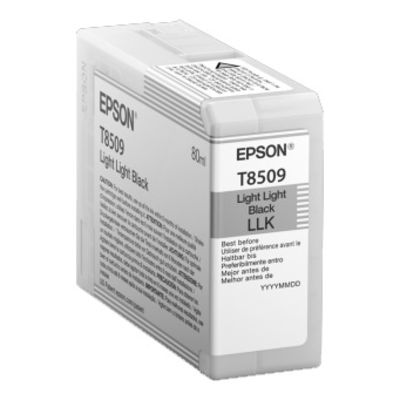 Epson SC-P800  Light Light Black