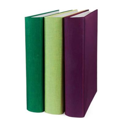 goldbuch Fotoalbum Summertime Trend 35x36 100 weiße Seiten  hellgrün