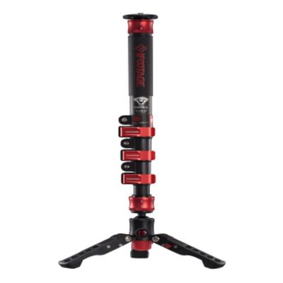 ifootage Cobra 2 C120 mit niedrigem Stativ 