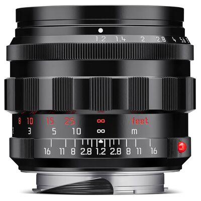 Leica Noctilux-M 50mm f/1.2 asph.  Leica M glänzend schwarz lackiert