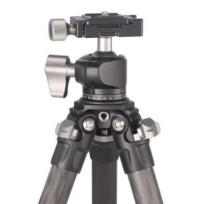 Leofoto Ranger LS-224C + Ballhead LH-25 