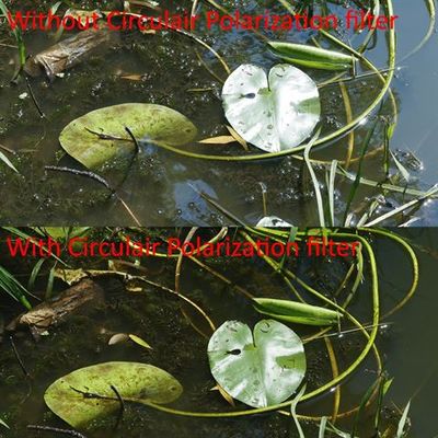 Marumi Zirkularpolfilter für M100 Filter Halter 