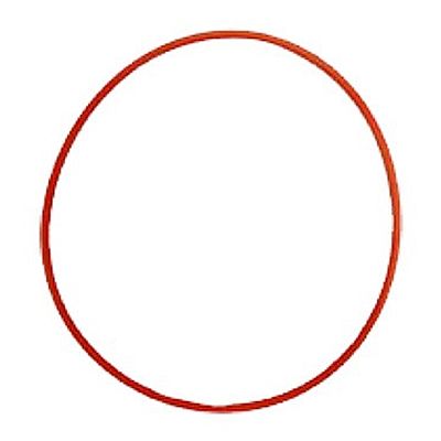 Olympus O-Ring POL-EP13 für PT-EP13 