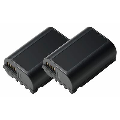 Panasonic Akku DMW-BLK 22  2er-Pack