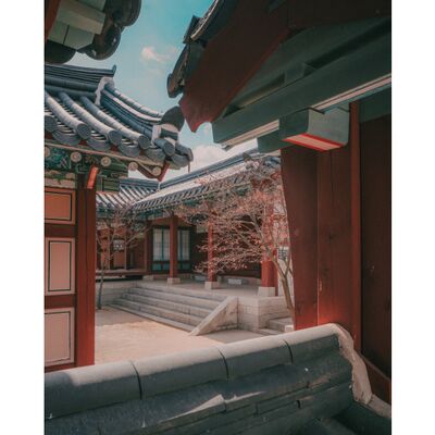 Samyang AF 14-24mm f/2.8  Sony  FE-Mount