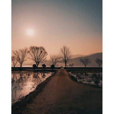 Samyang AF 14-24mm f/2.8  Sony  FE-Mount