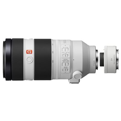 Sony SEL 100-400mm f/4,5-5,6 GM OSS + Telekonverter SEL-20TC 2.0x  Sony FE-Mount