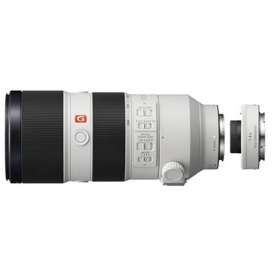 Sony SEL 70-200mm f/2,8 GM OSS + Telekonverter SEL-14TC 1.4x  Sony FE-Mount
