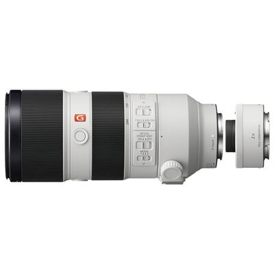 Sony SEL 70-200mm f/2,8 GM OSS + Telekonverter SEL-20TC 2.0x  Sony FE-Mount