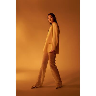 Zhiyun CINEPEER C100  Standard