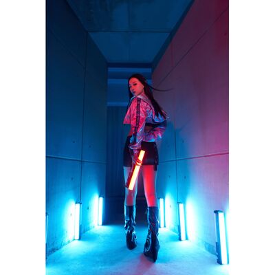 Zhiyun CINEPEER C100  Standard