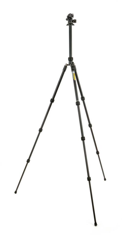 3 Legged Thing Punks Travis 2.0 with Airhed Neo 2.0  Dark