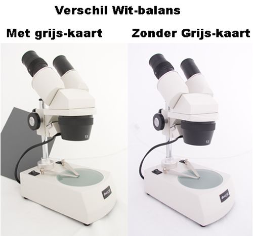 Falcon Eyes Graukarten 1x A5, 1x 10x15 + Instruktion CD 