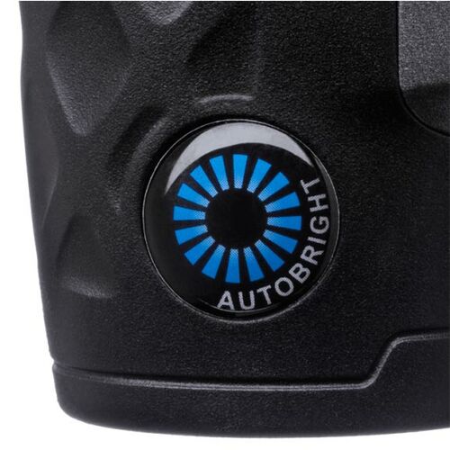 Steiner BluHorizons  10x42