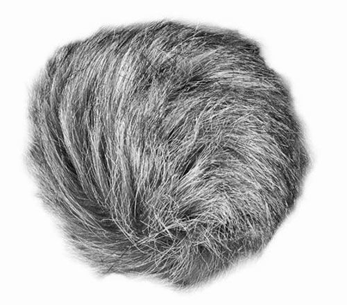 Zoom WSU-1 Windschutz 