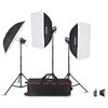 Für weitere Info hier klicken. Artikel: Godox Studio flash kit (3xMS300-V & accessories)  MS300V-D