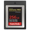 Für weitere Info hier klicken. Artikel: SanDisk Extreme PRO CFExpress Type B  256 GB