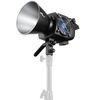Für weitere Info hier klicken. Artikel: Zhiyun MOLUS LED COB Light  B300