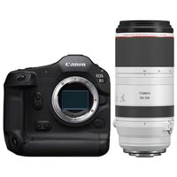 Canon EOS R1 + RF 100-500mm f/4.5-7.1 L IS USM 