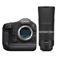 Canon EOS R1 + RF 800mm f/11 IS STM 