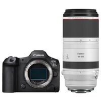Canon EOS R5 Mark II + RF 100-500mm f/4.5-7.1 L IS USM 