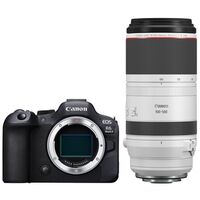 Canon EOS R6 Mark II + RF 100-500mm f/4.5-7.1 L IS USM 