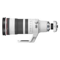 Canon RF 100-300mm f/2.8 L IS USM + Extender RF 1,4 