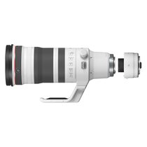 Canon RF 100-300mm f/2.8 L IS USM + Extender RF 2x 