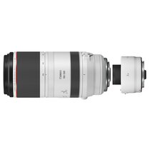 Canon RF 100-500mm f/4.5-7.1 L IS USM + Canon Extender RF 2x 