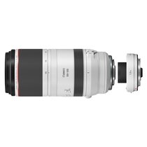 Canon RF 100-500mm f/4.5-7.1 L IS USM + Canon Extender RF 1,4 