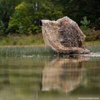 Caruba Camouflage Tarnnetz Schilf 