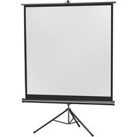 CELEXON Stativleinwand Economy  184 x 184 cm