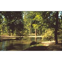 Cokin 030 orange (85B)  P 