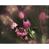 Cokin 071 WW-Spot farblos 2  P 