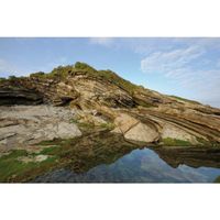 Cokin 121L Verlauf grau 2 ND2  A 