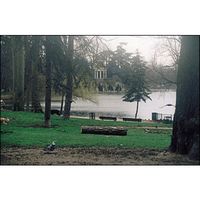 Cokin 150 Verlauf Nebel 1  A 