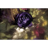 Cokin Filter A072 C.Spot WA Grau 1 