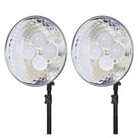 Dörr Dauerlicht DL-400 mit 4x10W LED Birnen 2-er Kit 