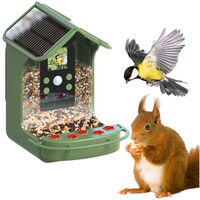 Easypix BirdyCam Vogelfutterhaus mit Kamera 