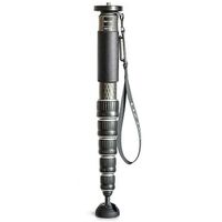 Gitzo Einbeinstativ Series 4 Carbon 6 Sektionen 