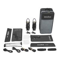 Godox KNOWLED F200Bi Kit 2 