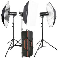 Godox SK300II Studio Flash Kit 300-D 