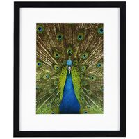 goldbuch Bilderrahmen Pino  20 x 25 cm schwarz