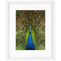 goldbuch Bilderrahmen Pino  20 x 25 cm weiß